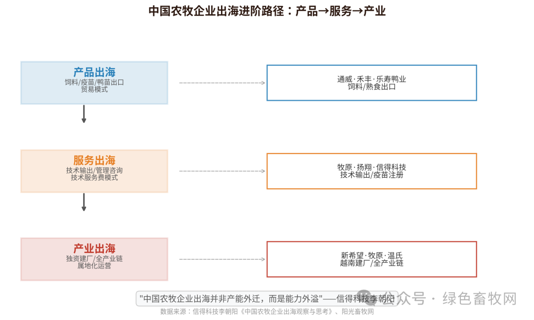 出海进阶路径