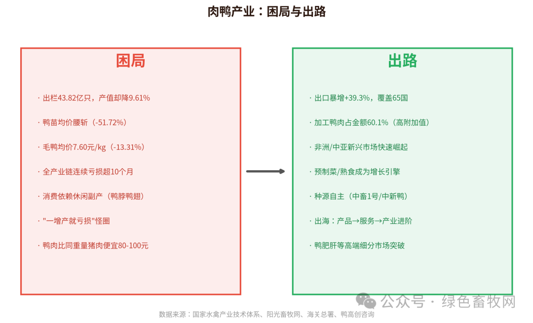 肉鸭产业困局与出路
