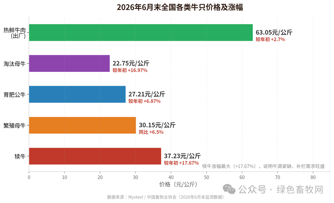 各类牛只价格及涨幅