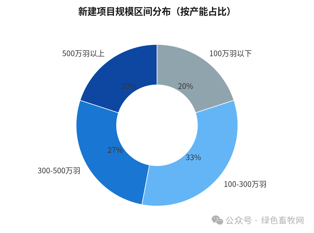 规模分布