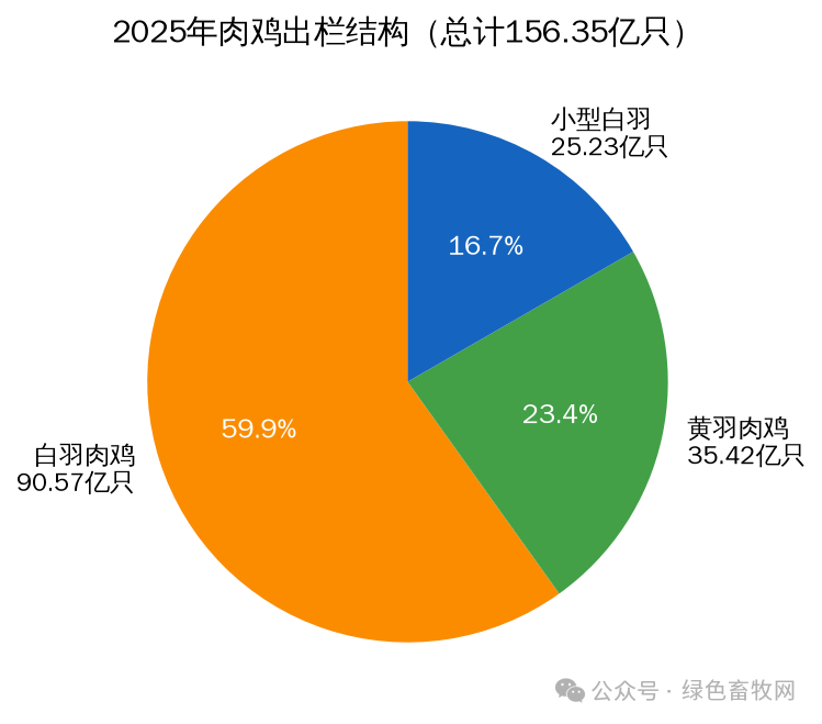 2025年肉鸡出栏结构