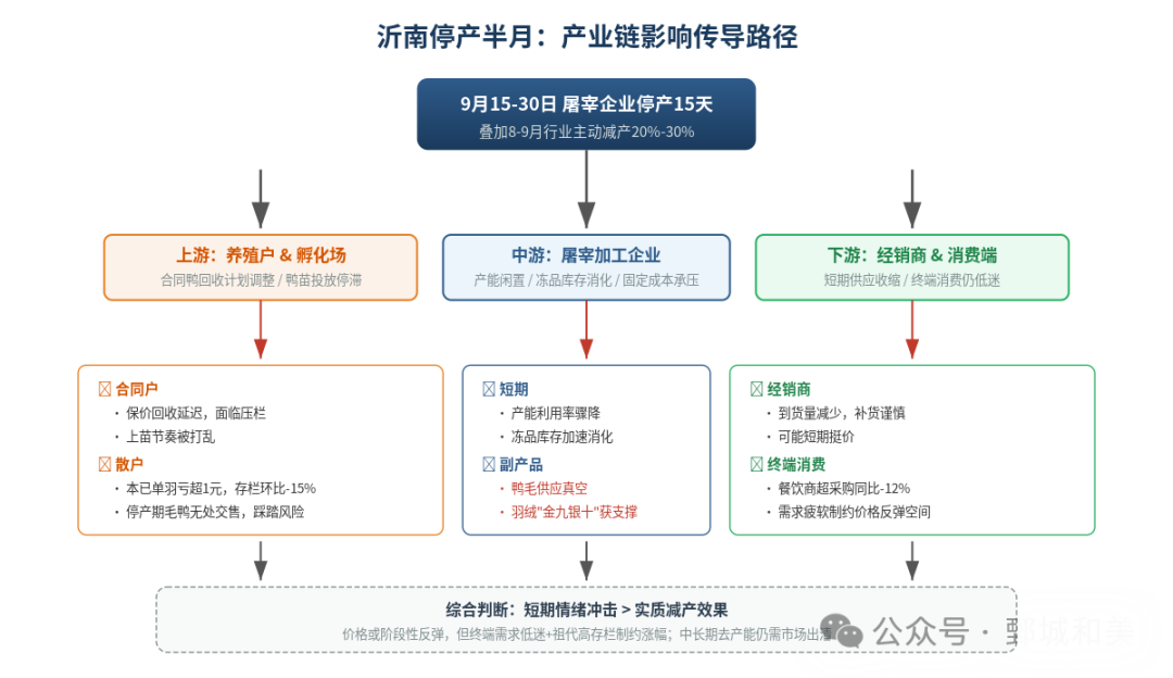 产业链影响传导路径