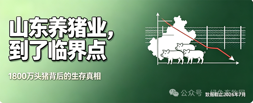山东养猪业到了临界点