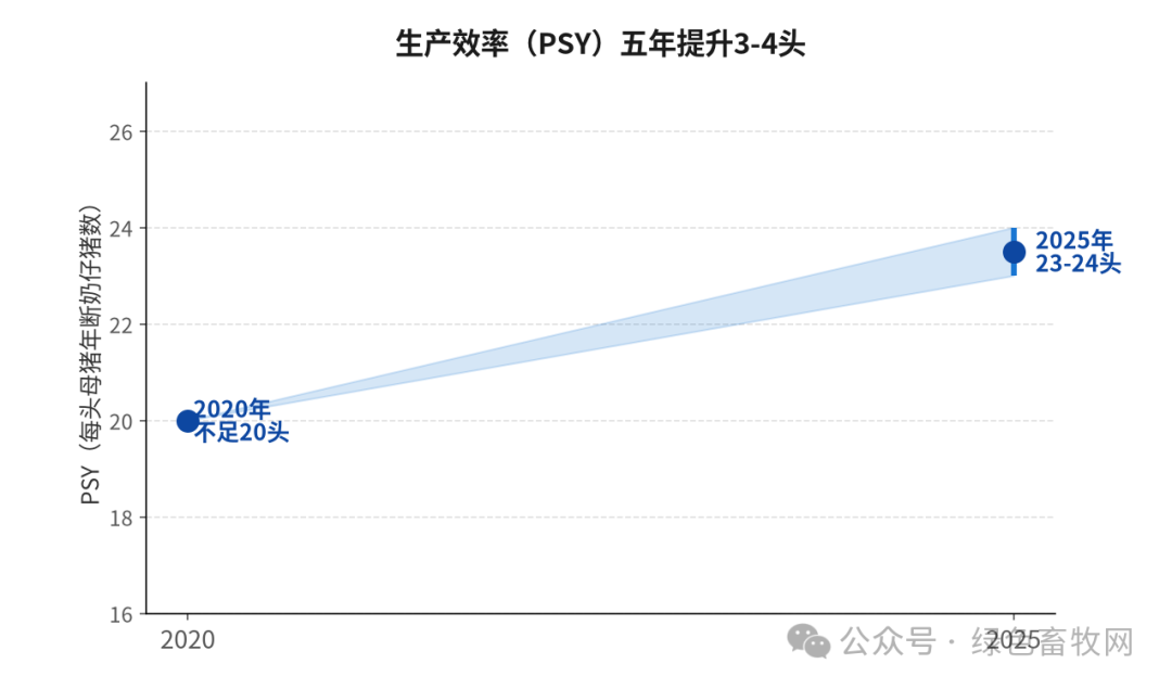 PSY效率