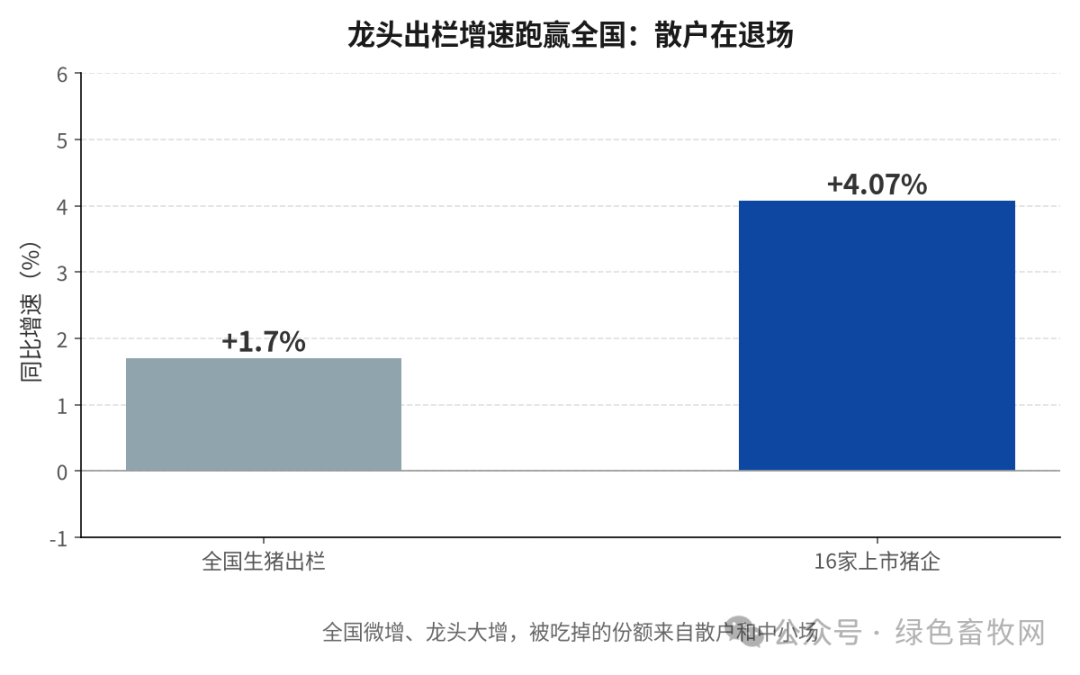 龙头份额