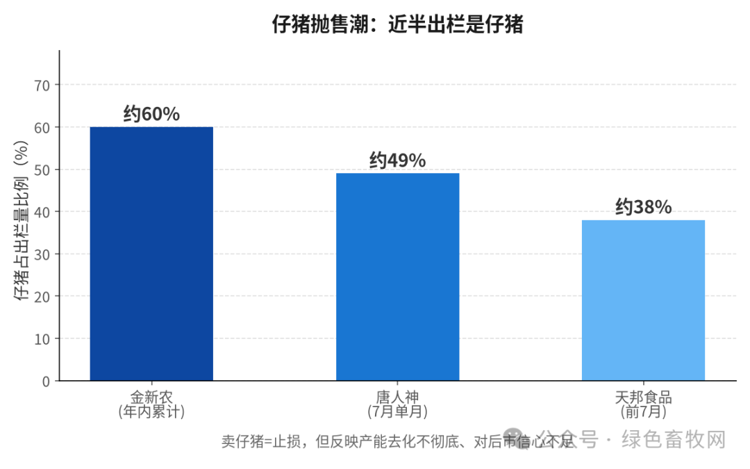 仔猪抛售