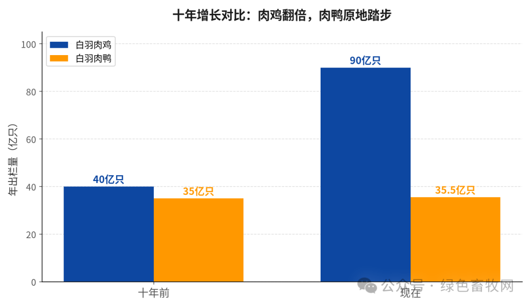 肉鸡vs肉鸭