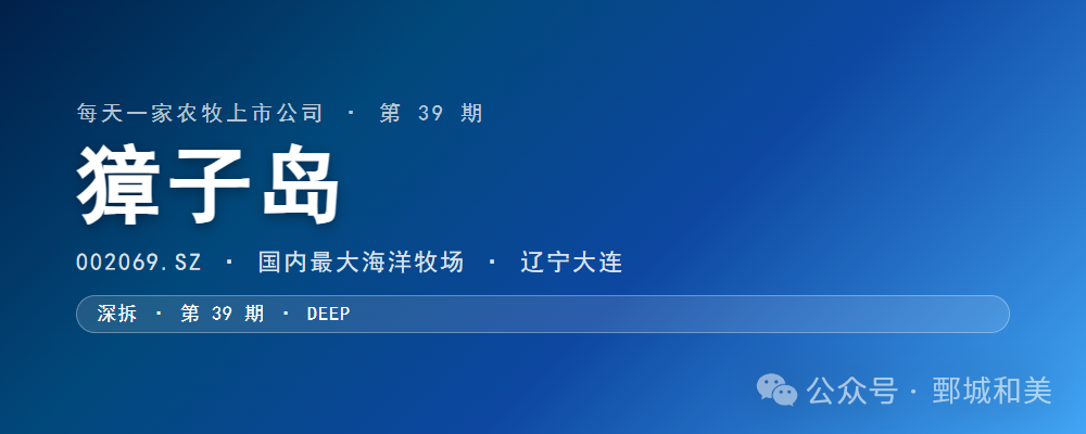 獐子岛封面