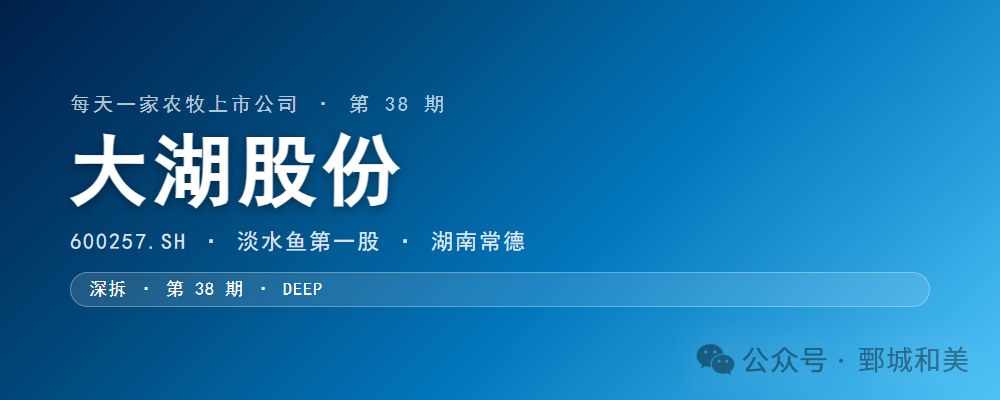 大湖股份封面