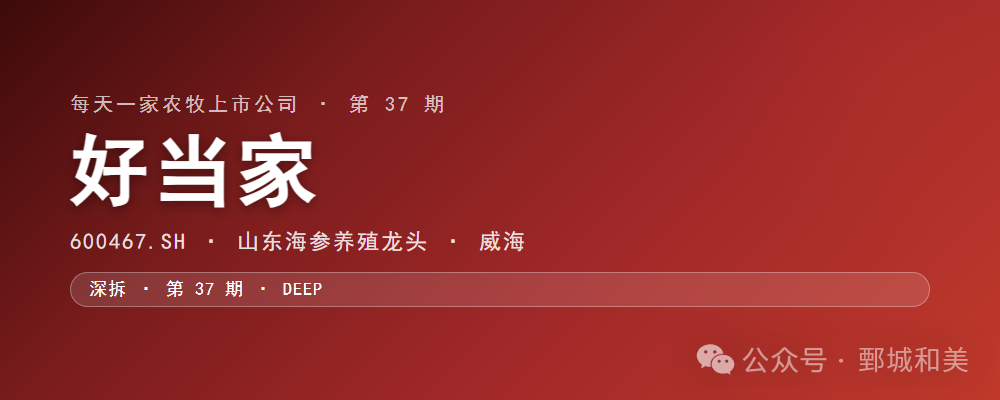 好当家封面