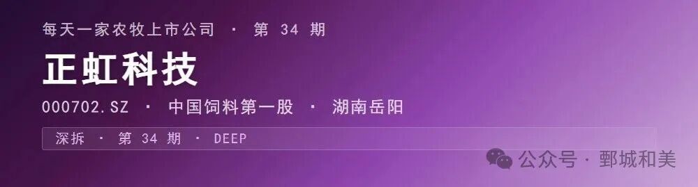 正虹科技封面