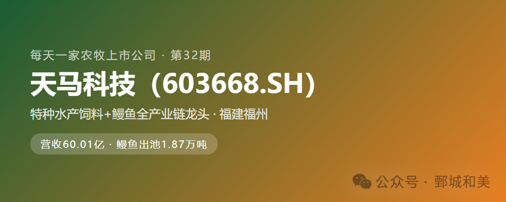 天马科技深度剖析
