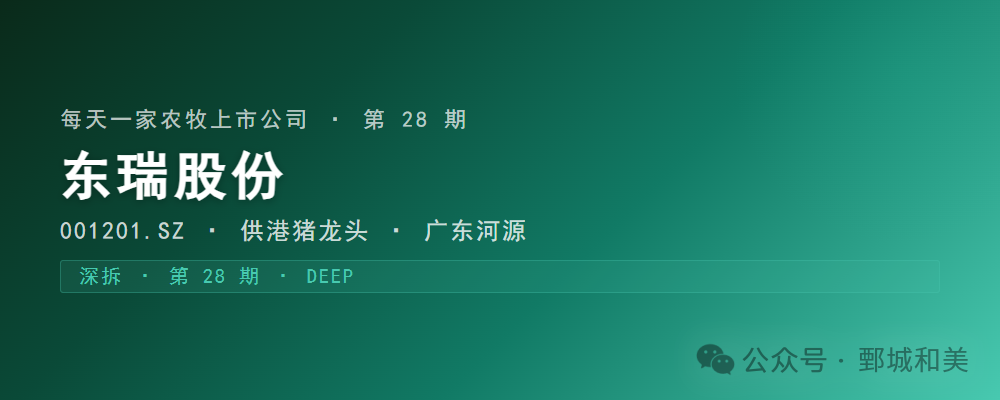 东瑞股份封面